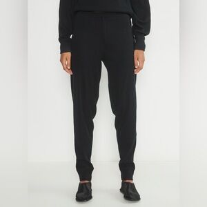 NWT Aritzia The Group Escape Jogger Pants